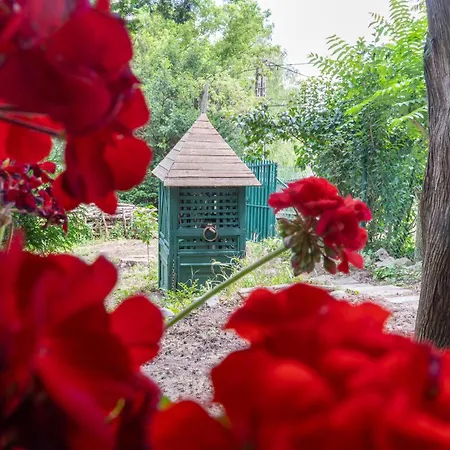 Leanyvirag Vendeghaz *