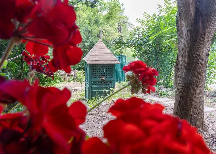 Leanyvirag Vendeghaz *