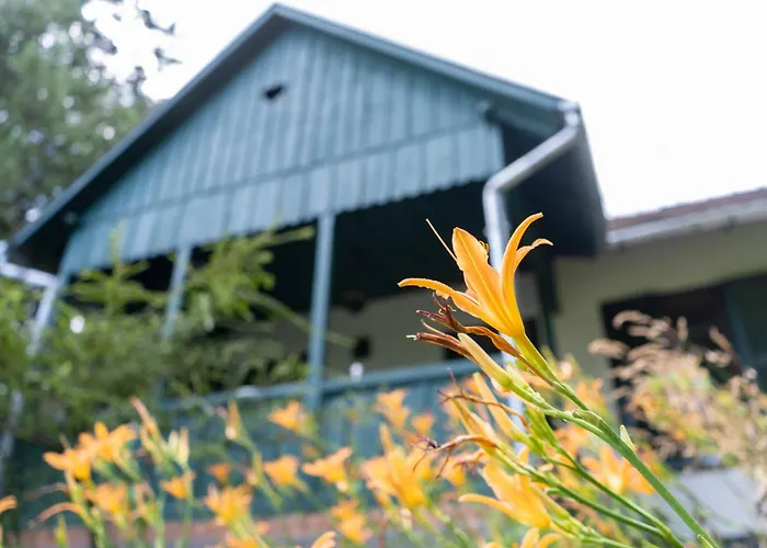 Ferienhaus Leanyvirag Vendeghaz